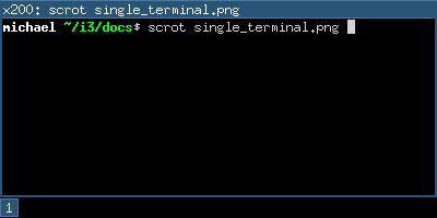 docs/4.16/single_terminal.png